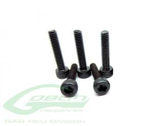 Socket Head Cap  M2,5x10 - Goblin 500 