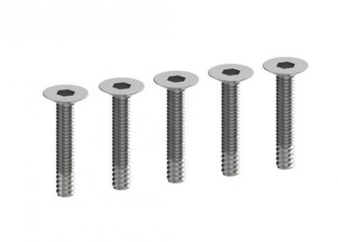 Stratos 200 M2.5*12 Flat head screw 